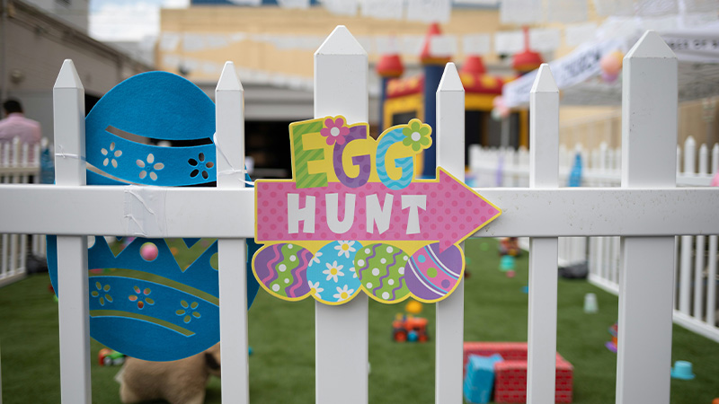 Easter egg hunt 