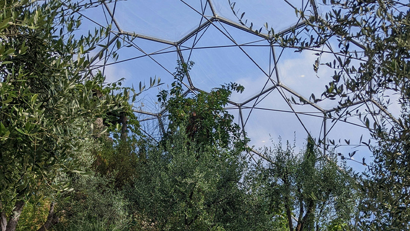 Eden Project
