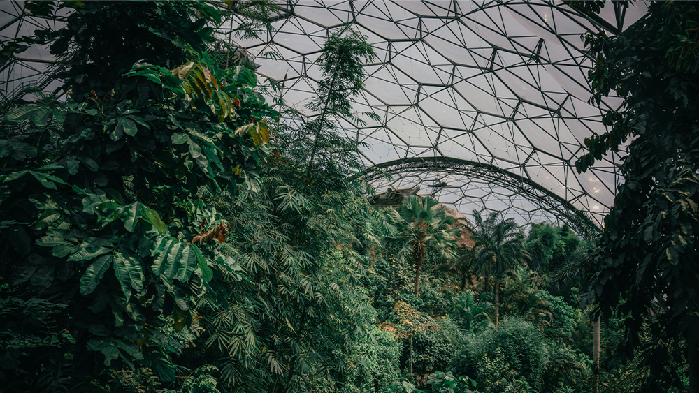 Eden Project