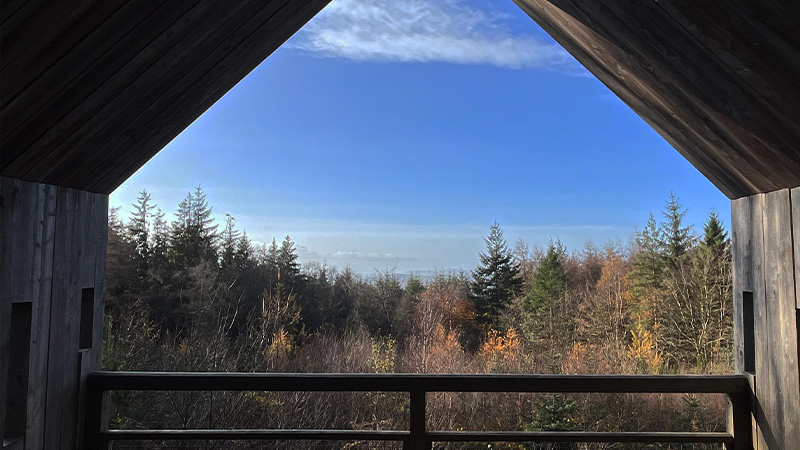 Haldon Forest