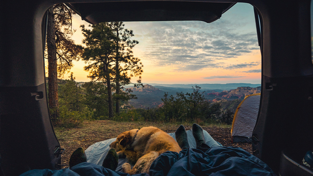 Road trip camping