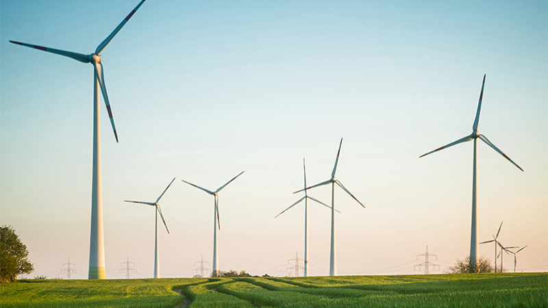 Wind farm