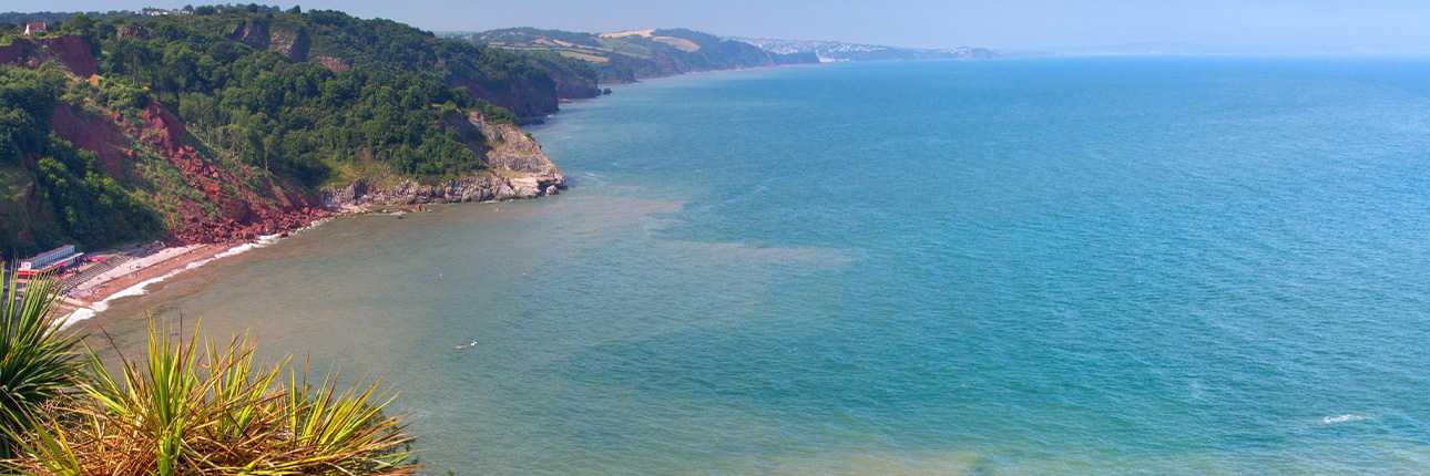 Summer in Torbay