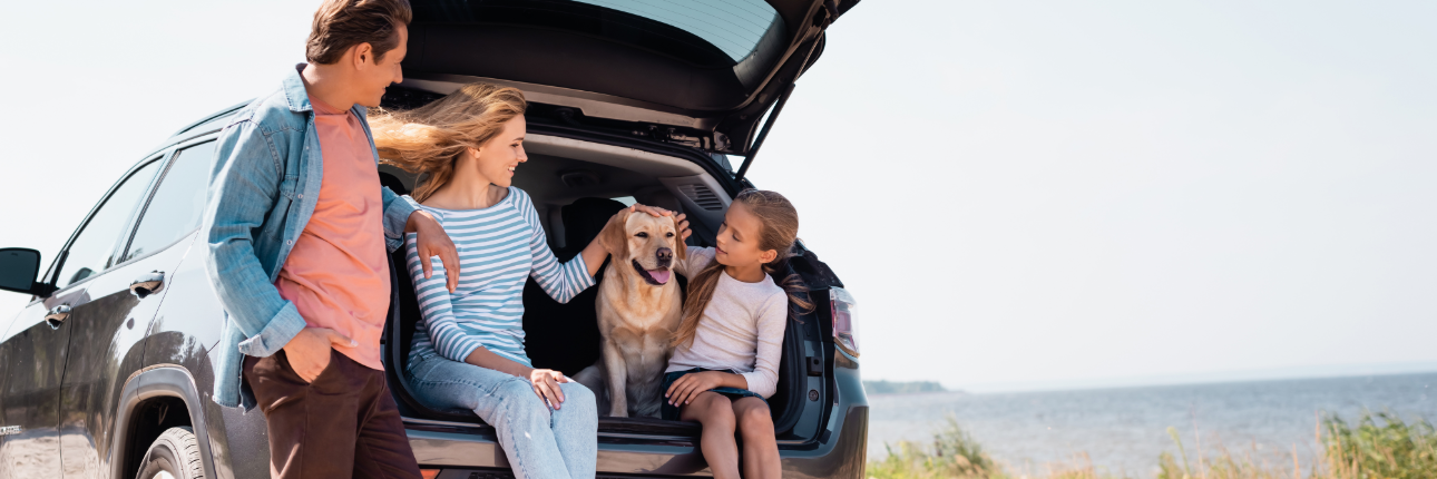 Best cars for dog owners 