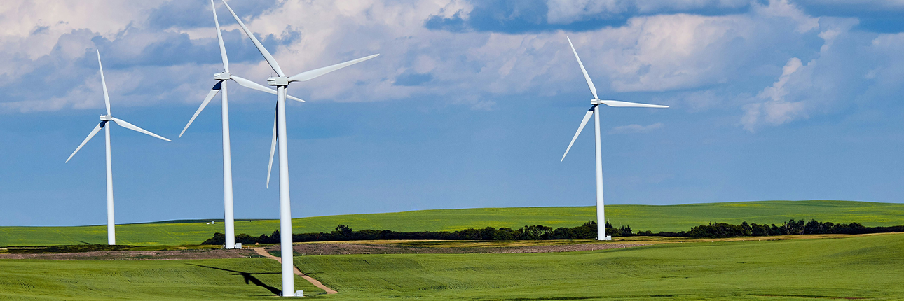 Tips for a greener lifestyle