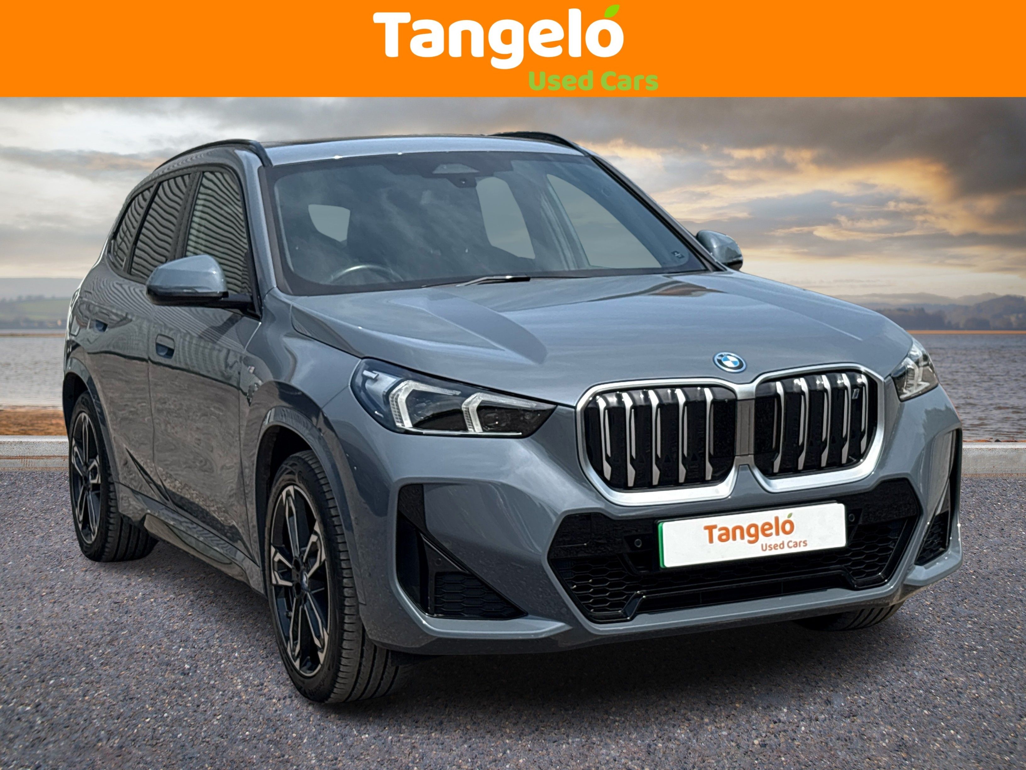 2023 BMW IX1